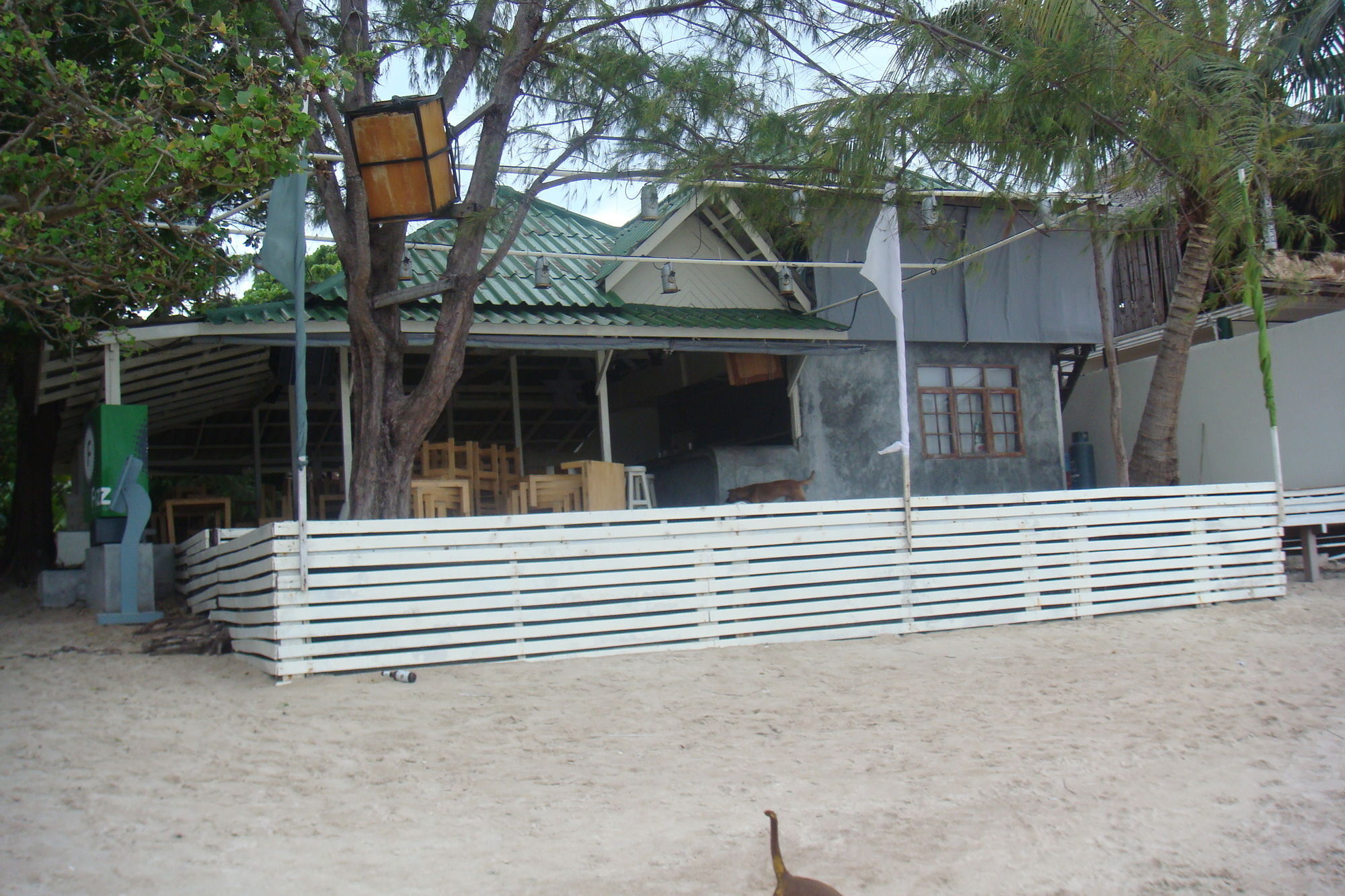 Silver Sands Beach Resort Koh Tao Extérieur photo